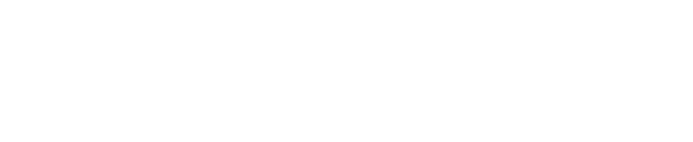 Insul-Twin white vector logo
